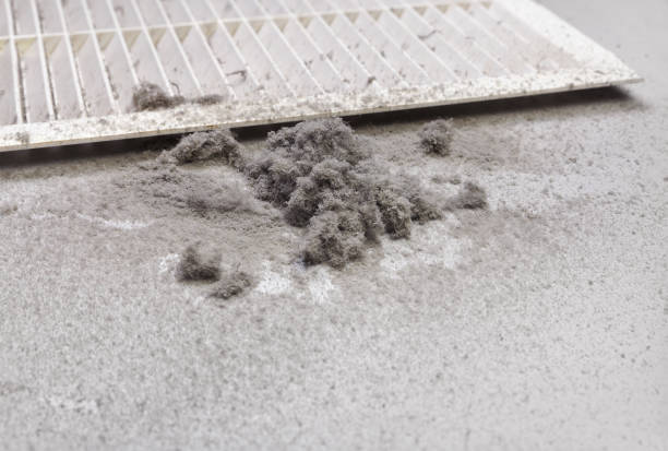 Best Emergency Air Duct Cleaning  in St Hedwig, TX