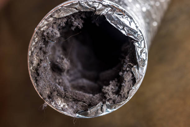 Best Air Duct Cleaning Near Me  in St Hedwig, TX